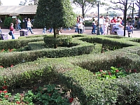 Disney Maze