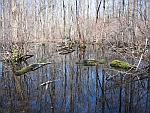 Great Swamp National Wildlife Refuge 2 NJ