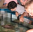 Aquarium field trip